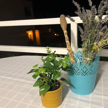 Apartment Susanj With Sea View Ravni